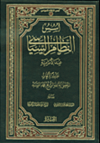 أسس النظام السياسي