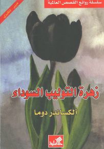 زهرة التوليب السوداء