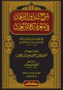 شرح شذور الذهب في معرفة كلام العرب