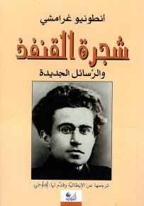 شجرة القنفذ