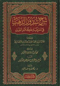 شرح شذور الذهب - فني