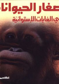 صغار الحيوانات في الغابات الاستوائية