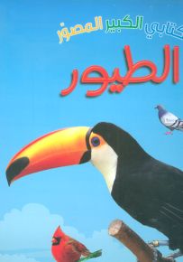 الطيور - سلسلة كتابي الكبير المصور