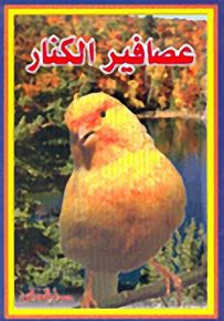 عصافير الكنار