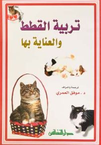 تربية القطط والعناية بها