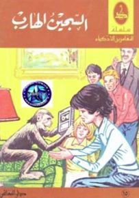 السجين الهارب