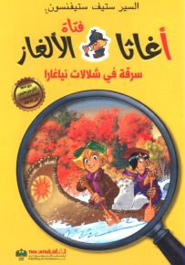 سرقة في شلالات نياغارا