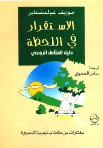 الاستقرار في اللحظة