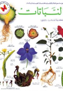 النباتات - موسوعة المشاهدة العيانية