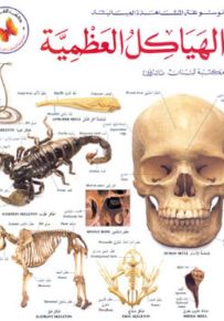 الهياكل العظمية - موسوعة المشاهدة العيانية