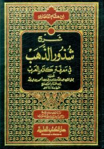 شرح شذور الذهب في معرفة كلام العرب