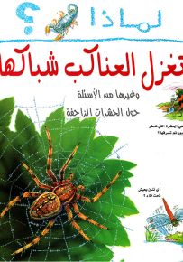 لماذا تغزل العناكب شباكها؟