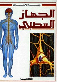 الجهاز العصبي - سلسلة جسم الإنسان