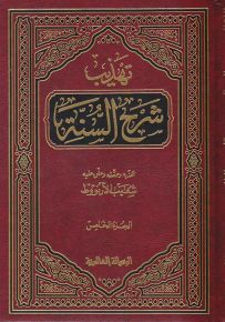 تهذيب شرح السنة