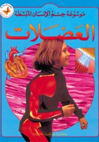 العضلات - سلسلة موسوعة جسم الإنسان المبسطة